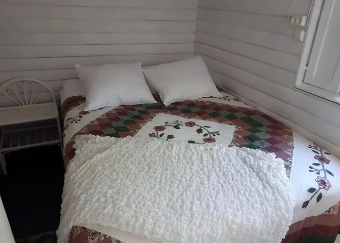 Lipetti, New Sauna, Budget Week *